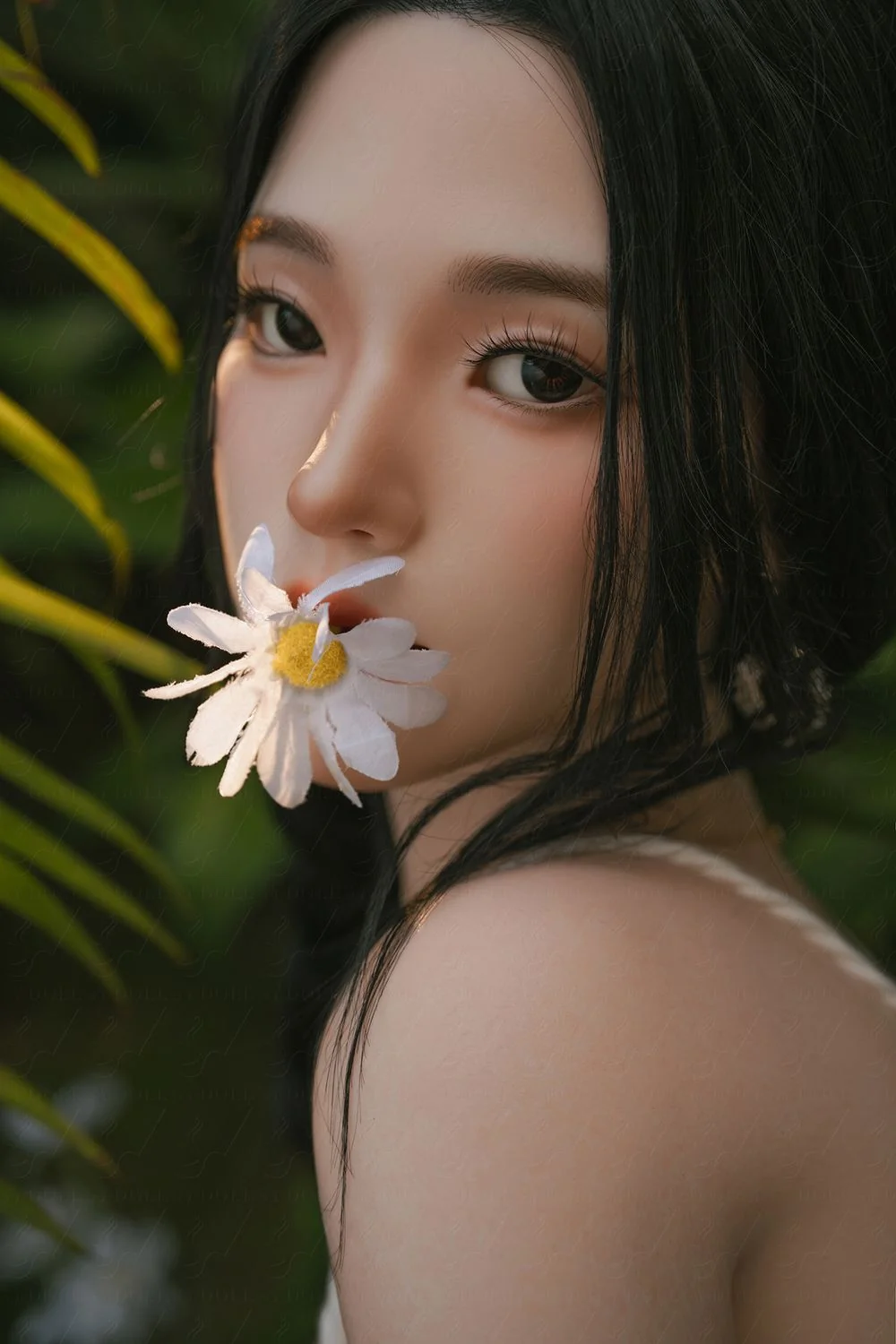 SY DOLL